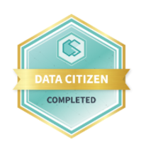 Data Citizen Level 3 Icon